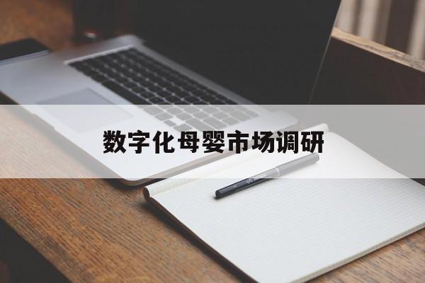 抚州市数字化母婴市场调研(数字化母婴市场调研报告)